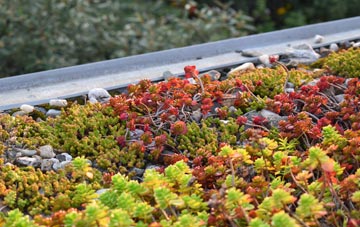 the cost of Hankerton green roof installation