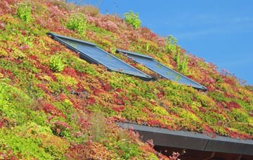 Hankerton living roof systems