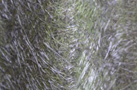 Hankerton fibreglass roof work